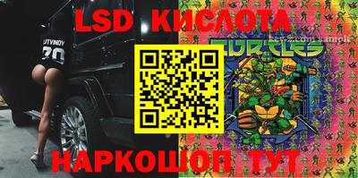 индика Кандалакша