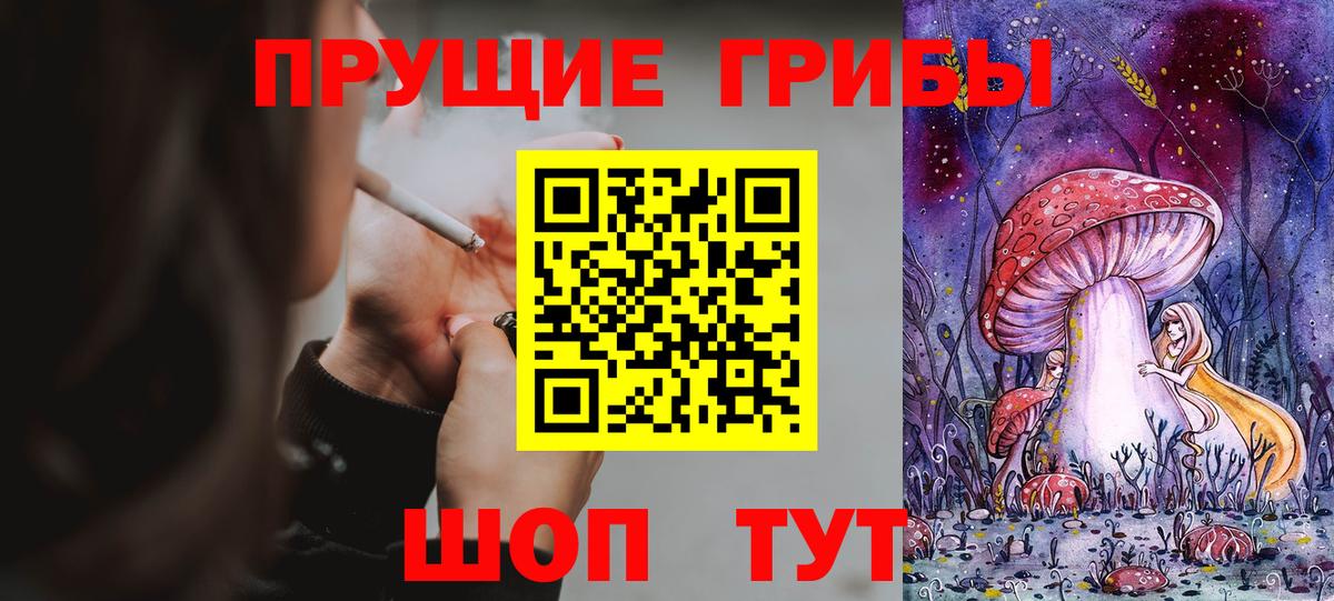 Котовск  Псилоцибиновые грибы мухоморы  купить наркоту  Вход с VPN 
