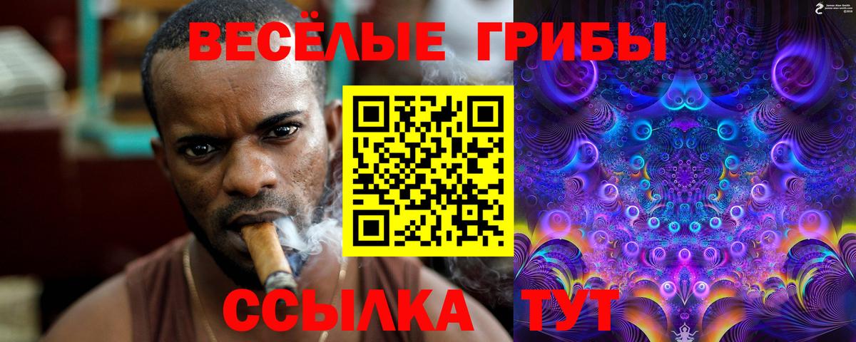 Псилоцибиновые грибы ЛСД Котовск