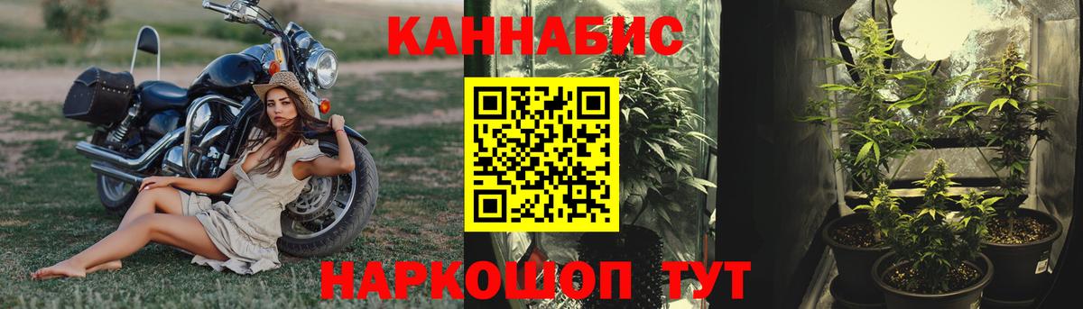 Канабис семена  Вход с VPN  МАРИХУАНА Bruce Banner  Канабис Ganja  Котовск 